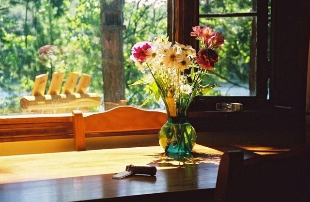 The Cabin on Chandler Lake in Traverse City, Mi