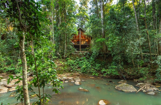 The Canopy Rainforest Treehouses and Wildlife Sanctuary