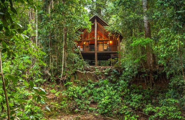 The Canopy Rainforest Treehouses & Wildlife Sanctuary