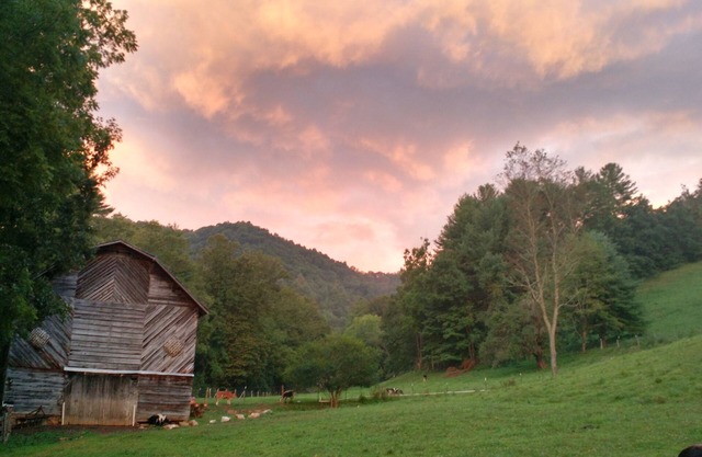 The Cottage In Quiver Full Farm