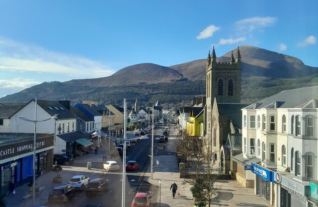 The Donard
