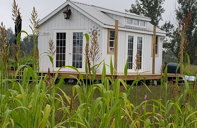 The Firefly stargazer, garden studio. View the night sky from your bed.