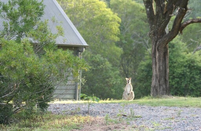 The Folly is a beautiful 2 bedroom holiday home with a log fire and fire pit.