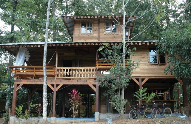 The house is in the middle of Jungle but also 5 minutes walk from the beach