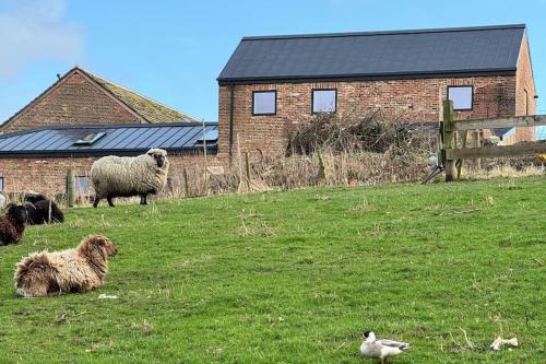 The Hayloft, Modern 4 Bed, 8 person, Barn Conversion in a Rural Location with Great Access