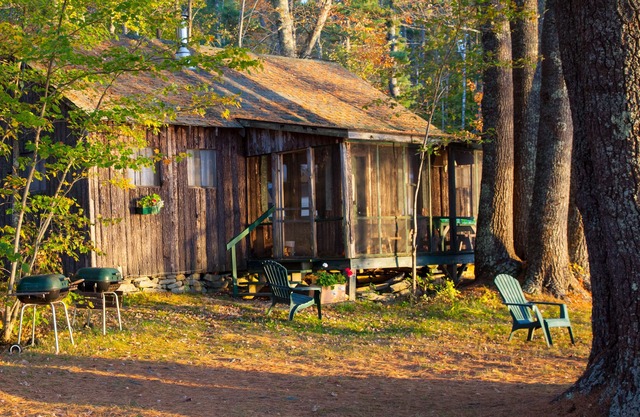 The Lakeside cabin, just steps from the lake, with dock and screened porch