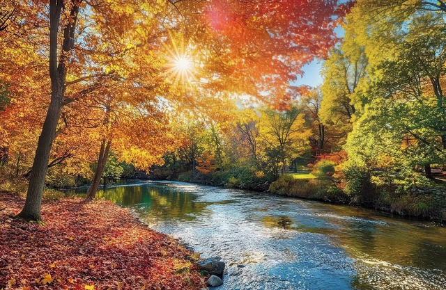 The Lower Hollow House, dip into river in backyard