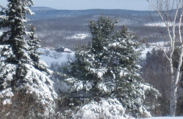The Mountain View Chalet