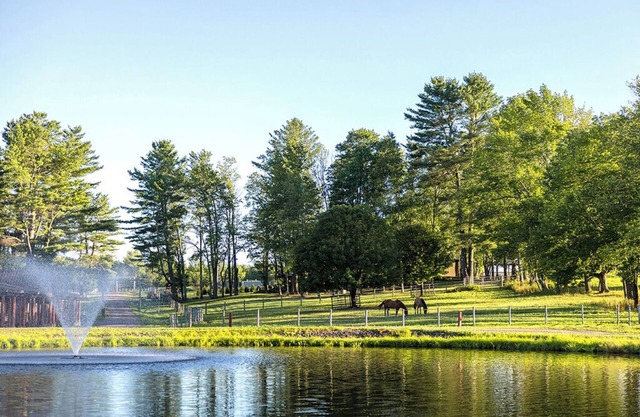 The Museum Suite @ Driftwood Ranch - a Horse and Cattle Ranch - White Lake, NY