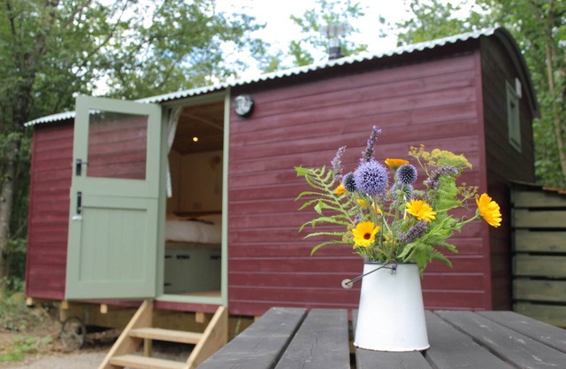 The Red Kite Shepherd's Hut