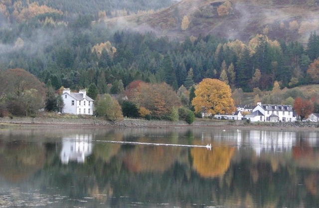 The Shore House