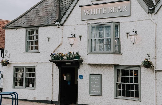 The White Bear