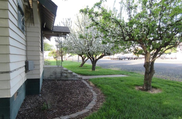 The Willows Motel