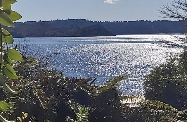 THE WOW FACTOR Paradise found, all the home comforts at stunning Lake Rotoma