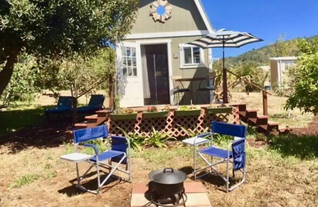 "Tiny Home Living on Exotic Family Fruit Farm"