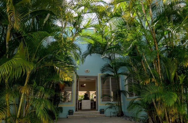 Traditional large house in Cozumel - Garden and Pool