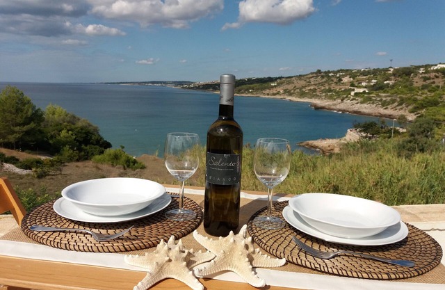 Tramonto apartment, 50 m from the sea, breathtaking view, wifi, air conditioning.