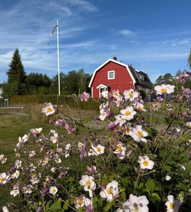 Traumhaus mit Seegrundstück