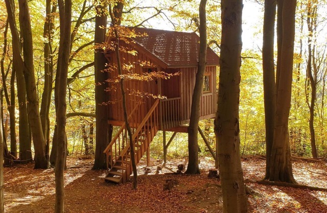 Tree house Ahletal, living/bedroom - Baumhaushotel Solling