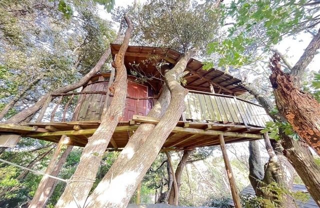 Tree House/Isumi County Chiba