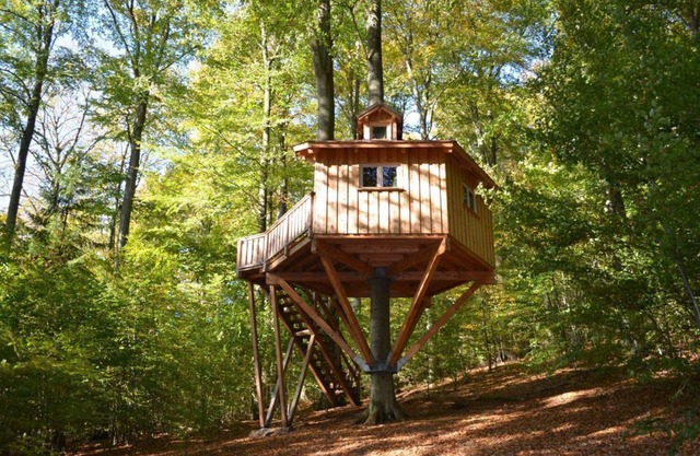 Tree house Kobel, living/sleeping room - Baumhaushotel Solling