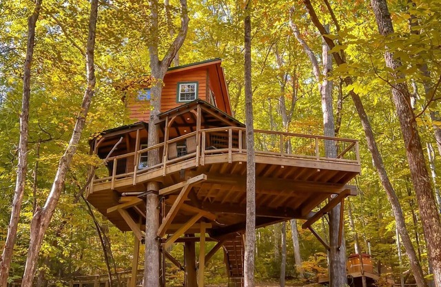 Treehouse Resort ~Dog Friendly~18-hole disc golf