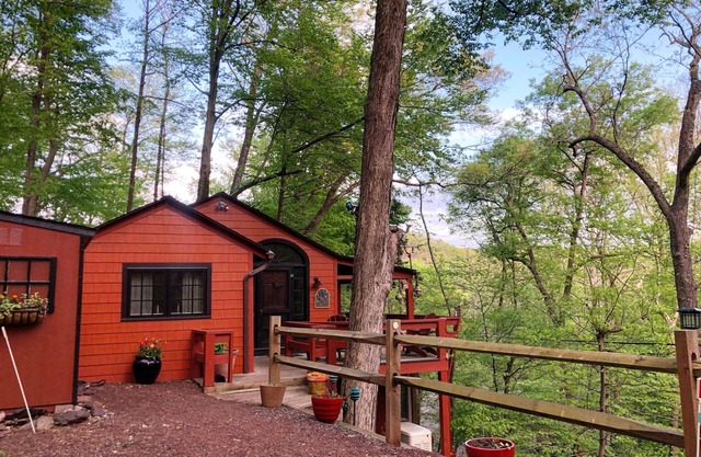 Treetop hideaway, Relaxing, Small towns, Dining, Hiking, Biking, Water sports,