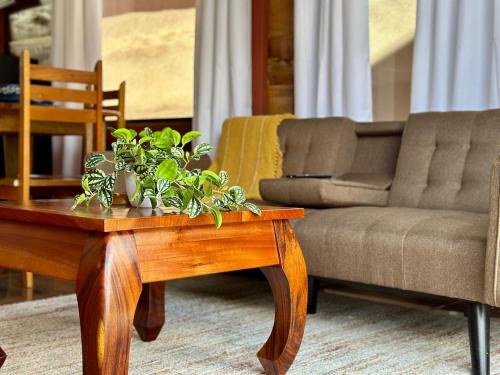 Tribu Bungalow 4 Centrally located and comfortable