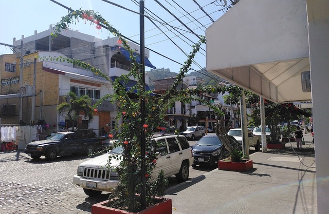 Tropicus Zone 