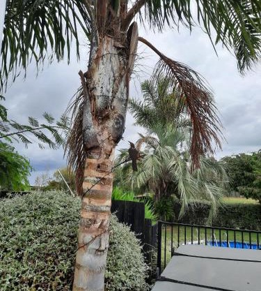 Tui Glade Bed and Breakfast