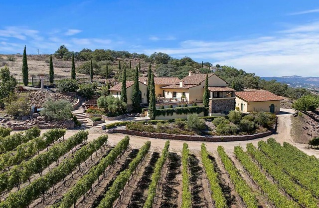 Tuscan Villa w/Vineyard Views!