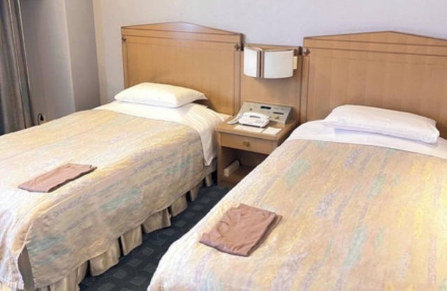 Twin A Nonsmoking room Accommodation only plan /Hanno Saitama