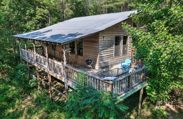 Twin Cedars Cabin in the Woods! Birders paradise near Sipsey and Bankhead