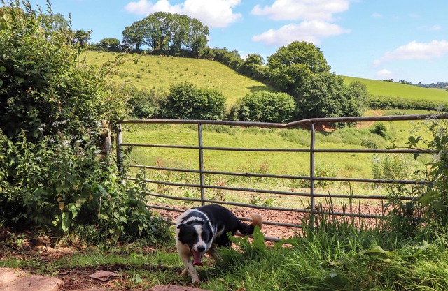Twyford Farm Cottage