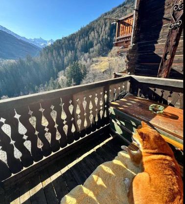 Un nid au paradis - Chalet traditionnel avec beaucoup de cachet