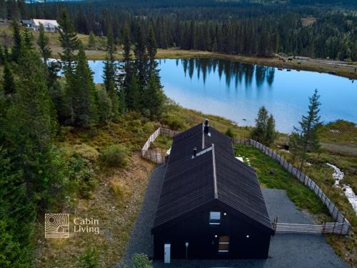 Unique cabin with fantastic lake view, sauna, ski & EV outlet