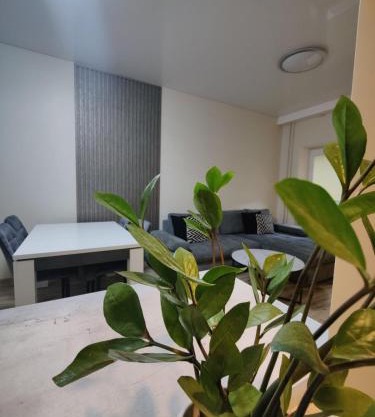 V15 Apartment
