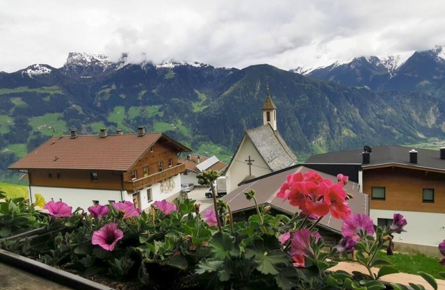Vacation apartment Alpenblick