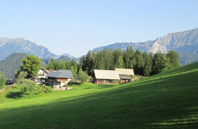 Vacation apartment - mountain farm "Pr Tic" 1050m. Nature, peace, air! 25 km from Bled
