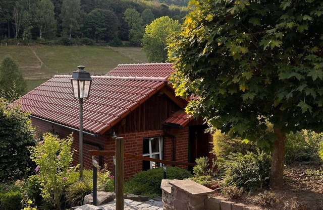 Vacation home, bathroom, WC - Holiday home Buren-Hof