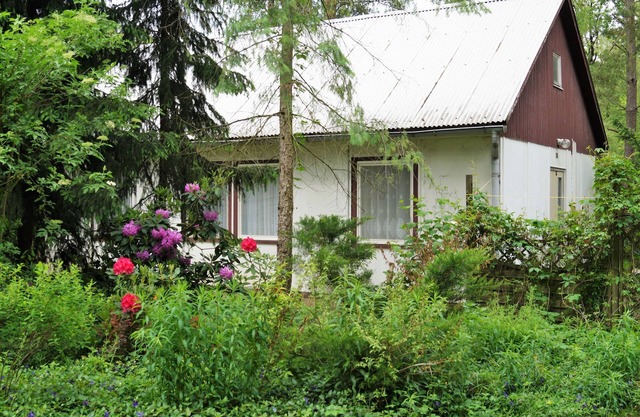 Vacation home for 4 guests with 34m² in Friedland (183174)