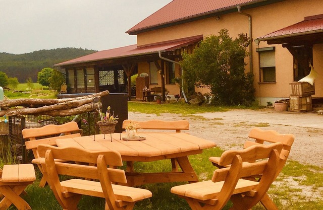 Vacation on the pasture farm