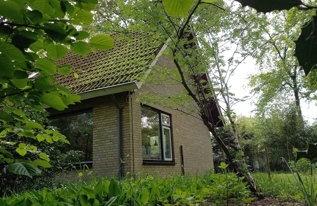 Vechtdal cottage 17 with fenced backyard. Your pet is most welcome!