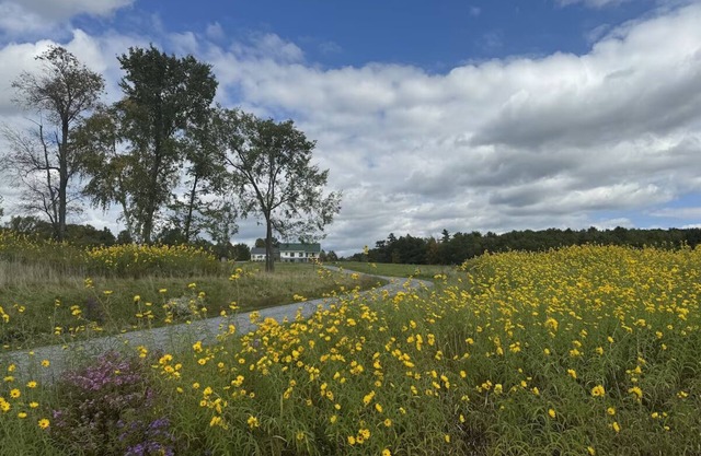 Vermont Modern Farmhouse + 46 acres + spectacular