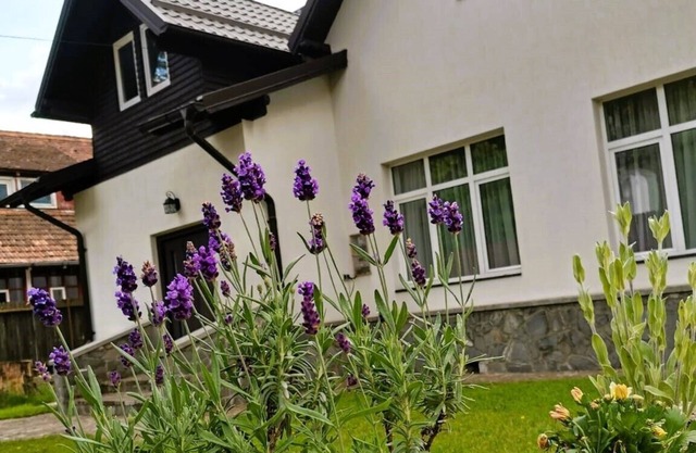 Vila Panduri 23, Bușteni – A Hidden Gem in Romania’s Carpathian Mountains