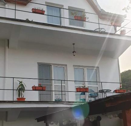 Vila Rose