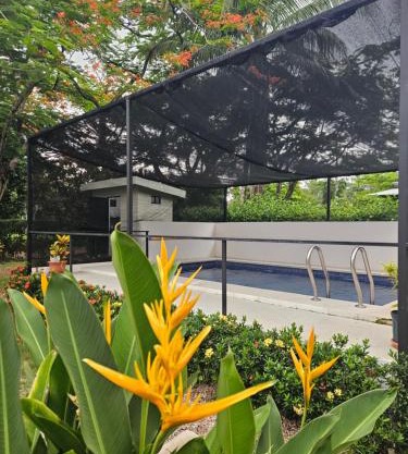 Villa Elenita - Pura Vida