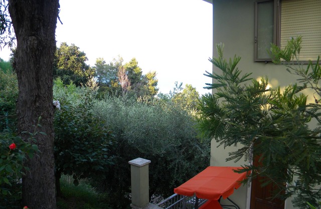 Villa on the sea in Cupra Marittima