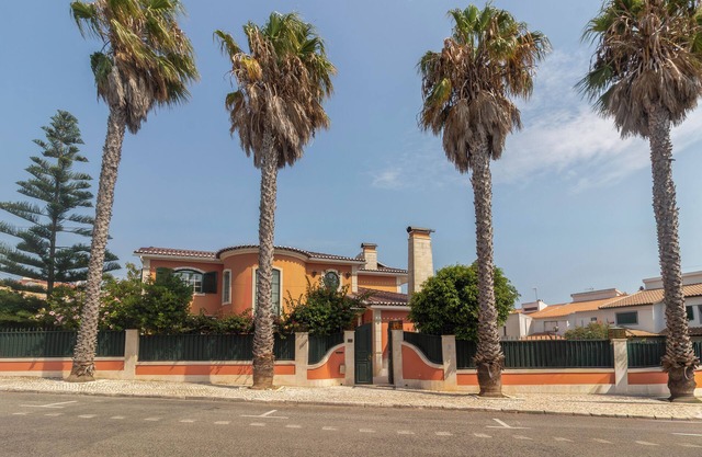 Villa Palm Trees