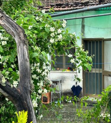Villa Soppena: casa in montagna nella neve